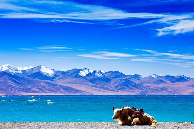6-Day Small Group Lhasa Tour Review - Inclusions and Exclusions
