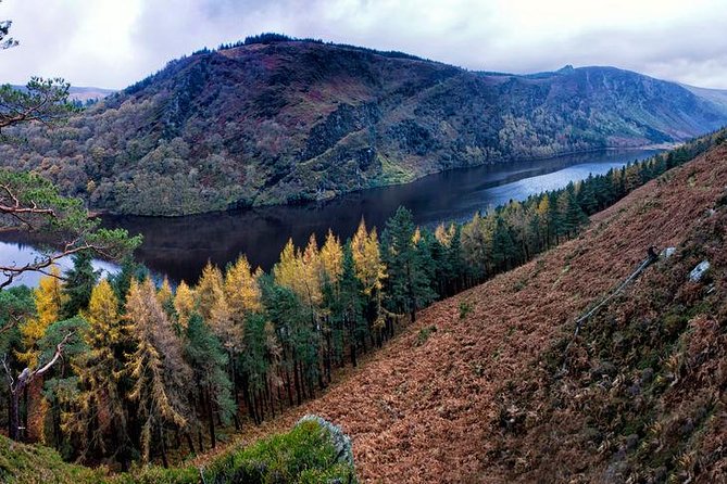 6-Day South of Ireland Tour From Dublin - Cancellation and Refund Policy