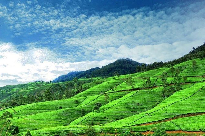 6-Day Sri Lanka Private Tour - Pickup Details