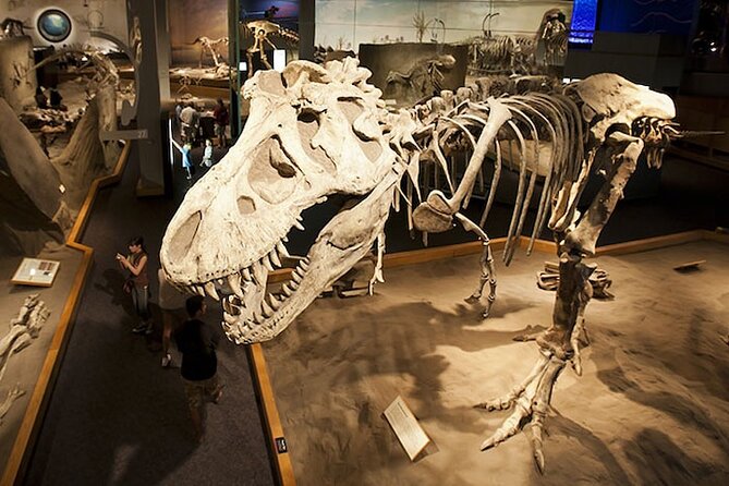 6 Day Summer Rockies Visit Banff Jasper Yoho and Drumheller Tour - National Park Admission