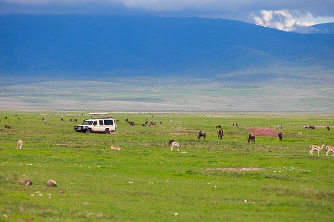 6 Day Tanzania Budget Camping Safari From Arusha. - Meeting and Pickup