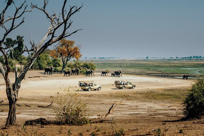 6 Day Tanzania Budget Camping Safari From Arusha. - Itinerary