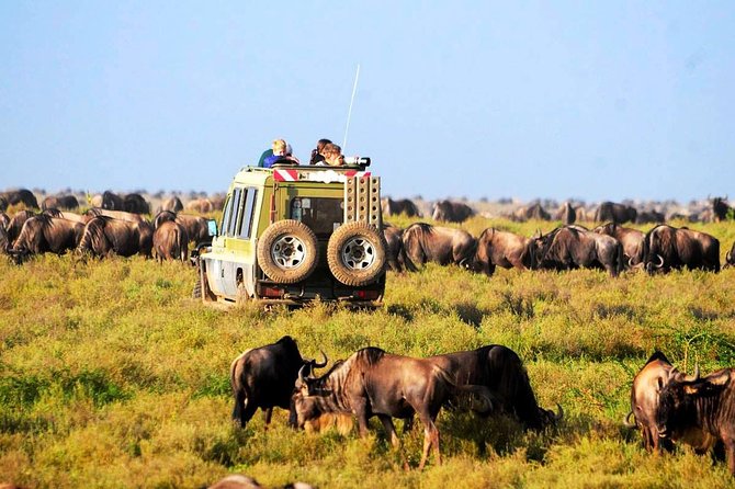 6-Day Tanzania Camping Safari: Lake Manyara, Serengeti, Ngorongoro Cater and Tarangire National Park From Arusha - Accommodation Options