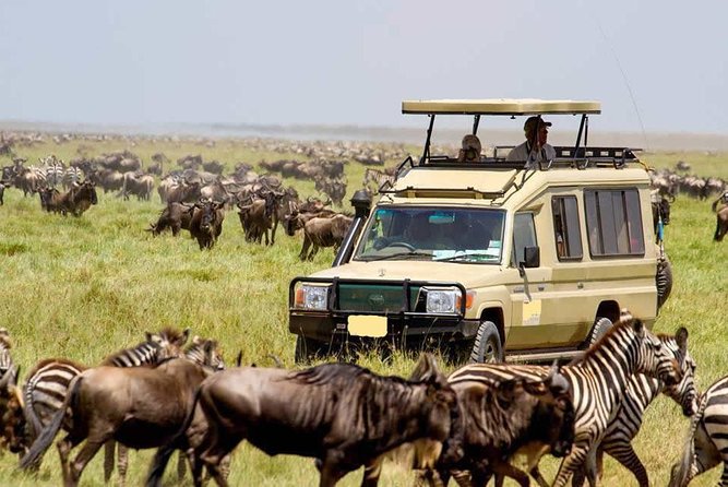 6-Day Tanzania Camping Safari: Lake Manyara, Serengeti, Ngorongoro Cater and Tarangire National Park From Arusha - Included Amenities
