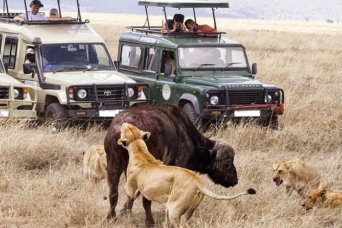 6-Day Tanzania Camping Safari: Lake Manyara, Serengeti, Ngorongoro Cater and Tarangire National Park From Arusha - Traveler Considerations