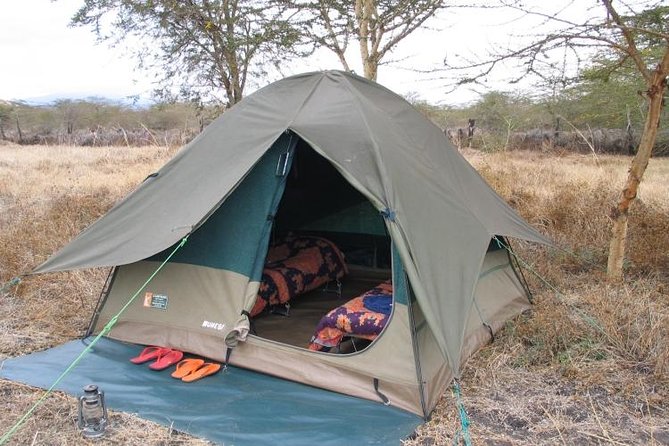 6-Day Tanzania Camping Safari: Lake Manyara, Serengeti, Ngorongoro Cater and Tarangire National Park From Arusha - Guest Reviews