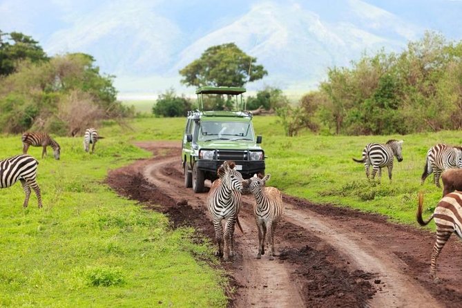 6 Day Tanzania Wildlife Mid Range Safari - Booking Details