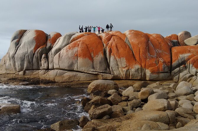 6-Day Tasmanian Explorer Adventure Tour From Hobart - Itinerary Highlights