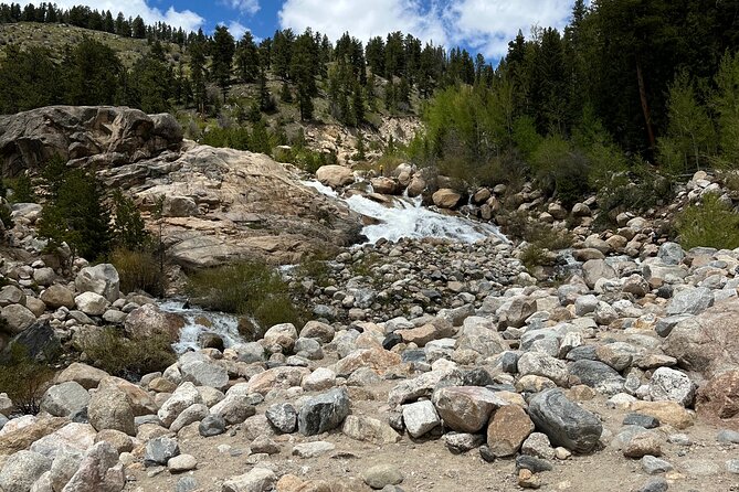 6 Day Tour: Grand Teton, Yellowstone, Rocky Mountain, and Colorado Hot Spring - Day 3: Discovering Yellowstone