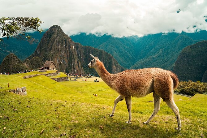 6-Day Tour of Cusco Magico-Machu Picchu-Rainbow Mountain - Sacred Valley and Aguas Calientes