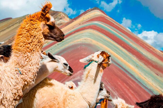 6-Day Tour of Cusco Magico-Machu Picchu-Rainbow Mountain - Traveler Testimonials and Experiences