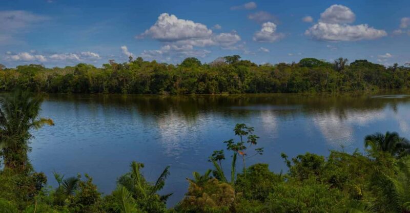 6-Day Tour of the Clay Licks of Tambopata. - Itinerary Highlights