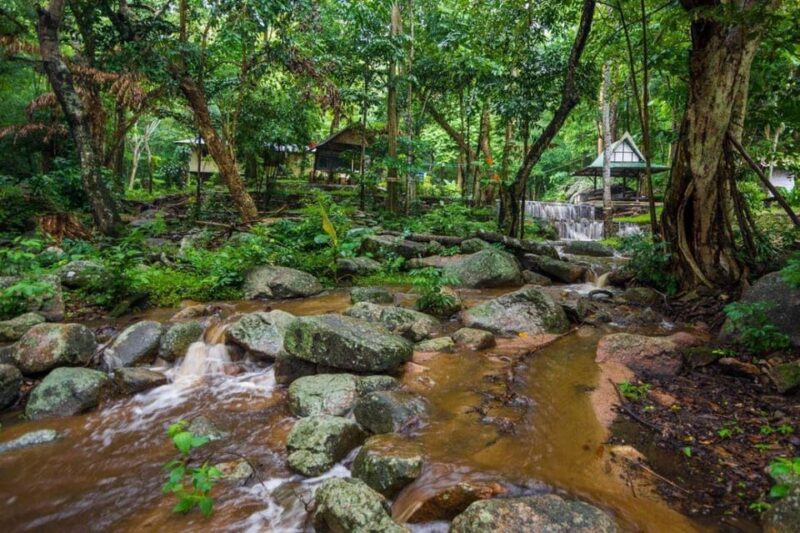 6-Day Tour of the Clay Licks of Tambopata. - Free Cancellation and Flexible Booking