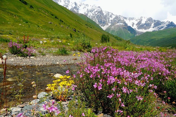 6-Day Tour to Georgia From Tbilisi. Cultural Heritage - Tour Overview and Highlights