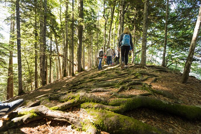 6 Day Tour - Trekking, Rafting, Jeep Safari and Canyoning - Wildlife Opportunities