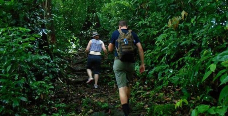 6-Day Unesco Central Highlands Tour - Itinerary Highlights