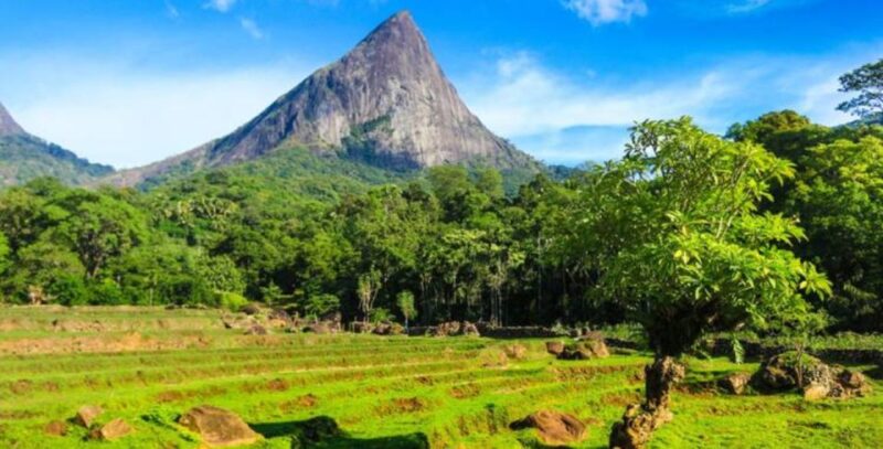 6-Day Unesco Central Highlands Tour - Day 2: Hatton to Nuwara Eliya