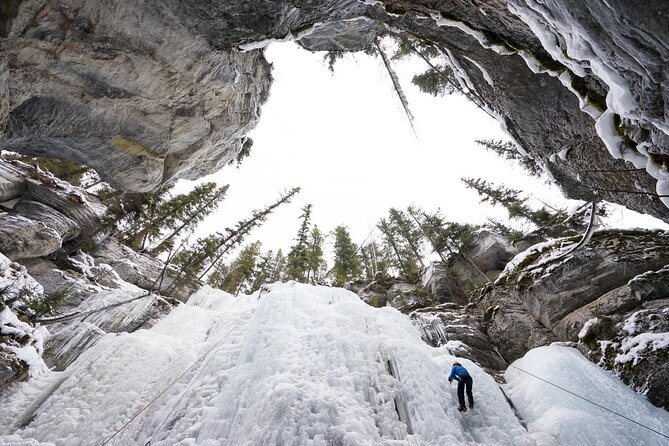 6-Day Winter via Rail Semi-Guided Tour From Vancouver to Calgary - Guest Requirements and Accessibility