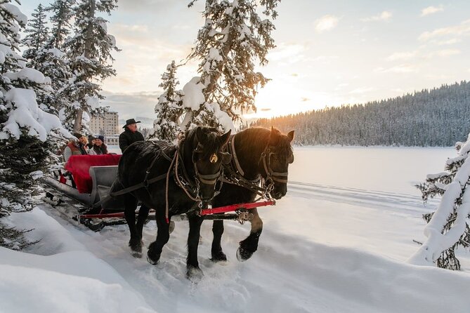 6-Day Winter via Rail Semi-Guided Tour From Vancouver to Calgary - Additional Information and Support