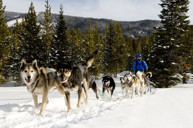 6 Day Winter Wonderland Tour in Yellowstone National Park - Meals Provided