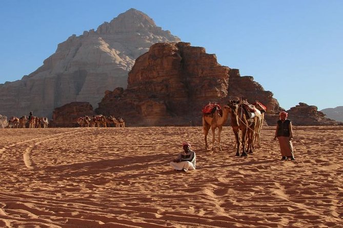 6-Days 5-Night: Jordan in Brief Tour - Tour Reviews