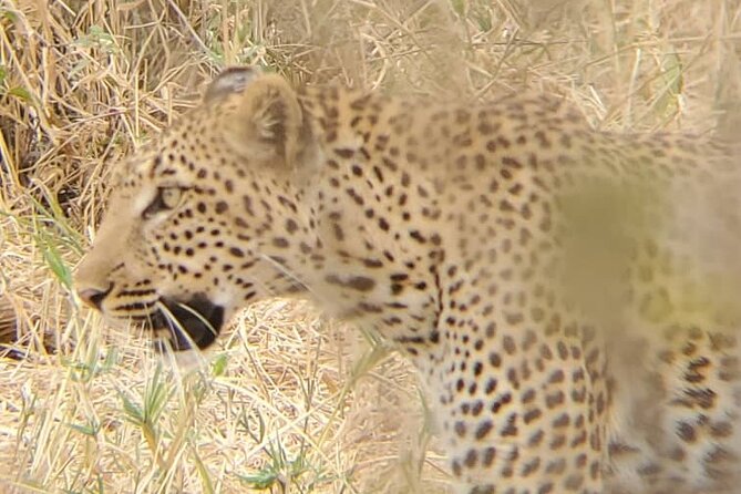 6 Days 5 Night Safari - Inclusions
