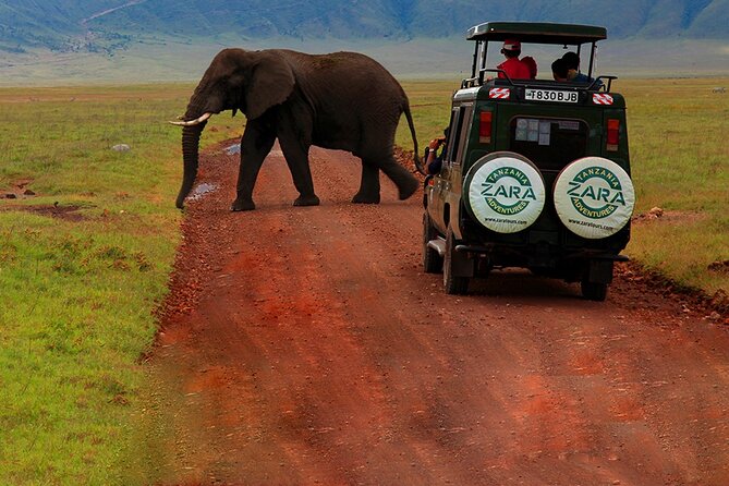 6 Days 5 Night Safari - Booking and Confirmation