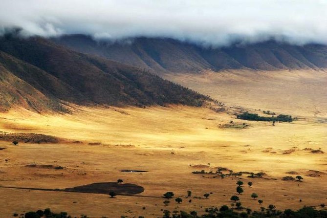 6 Days 5 Nights Lodge Safari Tarangire, Manyara, Serengeti & Ngorongoro Crater - Meal Inclusions