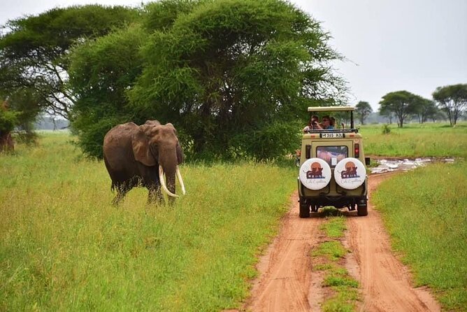 6 Days 5 Nights Safari Ngorongoro, Serengeti and Tarangire National Parks - Included Meals and Accommodations