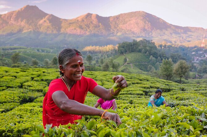 6 days active Kerala private tour by Green Earth Trails - Key Points