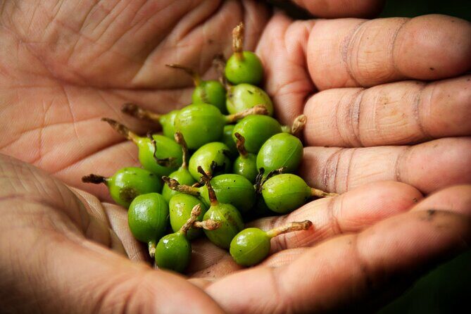 6 days active Kerala private tour by Green Earth Trails - Who Will Love This Tour?