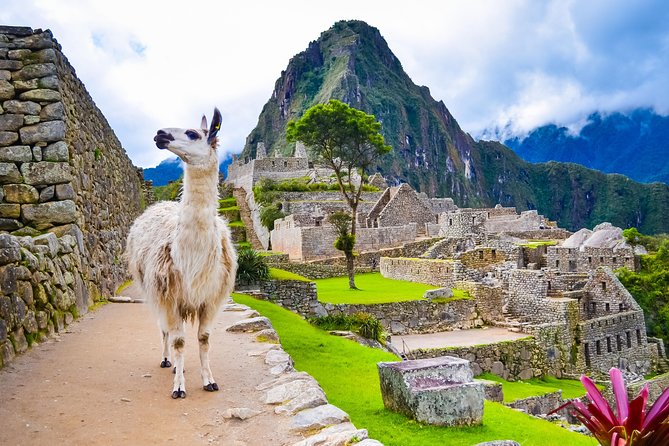 6 Days - |ALL INCLUDED| Machupicchu - Humantay Lake-Rainbow Mountain - Private - Included in the Tour