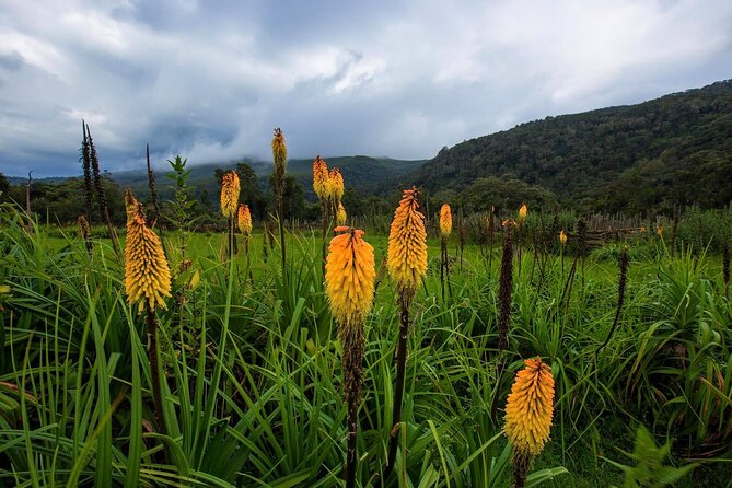 6 Days Bale Mountains Trekking - Packing Essentials