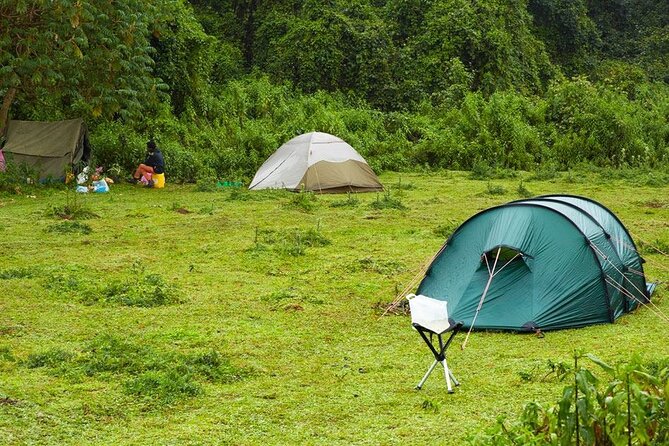 6 Days Bale Mountains Trekking - Safety and Precautions