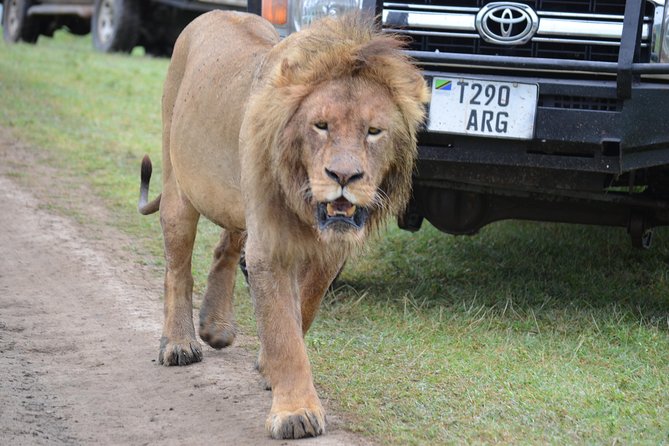 6 Days Best Adventure Kilimanjaro ,Tarangire ,Serengeti &Ngorongoro Crater - Health and Accessibility Information