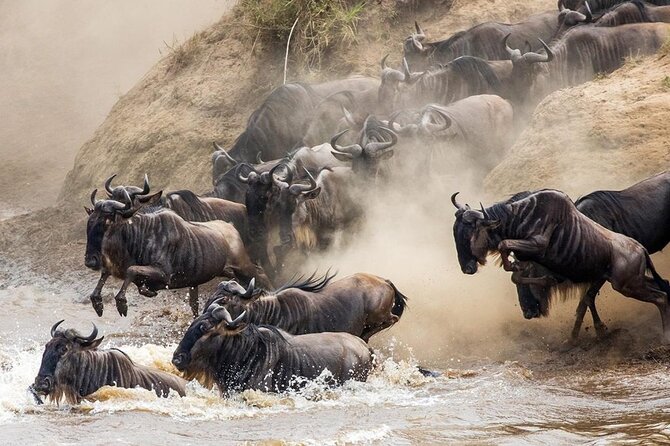 6 Days Best Adventure Kilimanjaro ,Tarangire ,Serengeti &Ngorongoro Crater - Reviews and Ratings