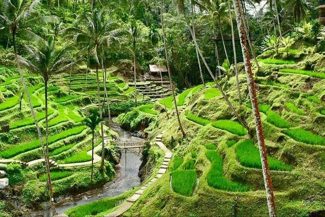 6 Days Best Of Bali And Nusa Penida All Inclusive Private Tour - Guided Experience