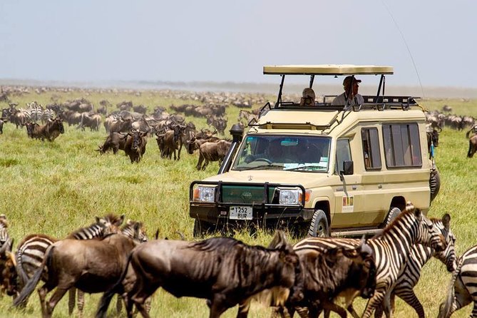 6 Days Budget Tanzania Camping Safari - Included Amenities and Facilities