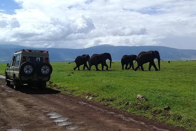 6 Days Budget Tanzania Camping Safari - Transportation and Wildlife Viewing