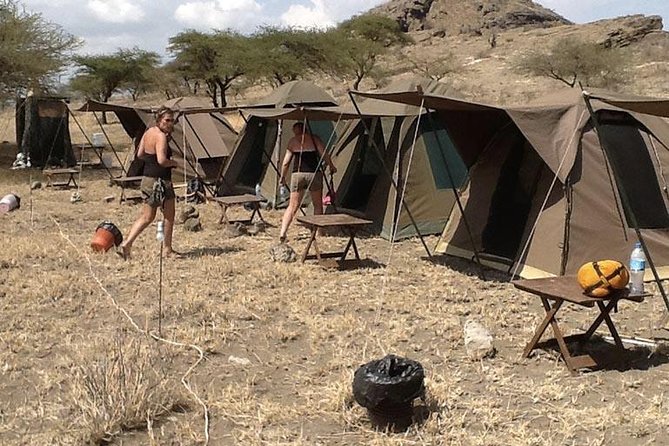 6 Days Budget Tanzania Camping Safari - Accessibility and Group Size