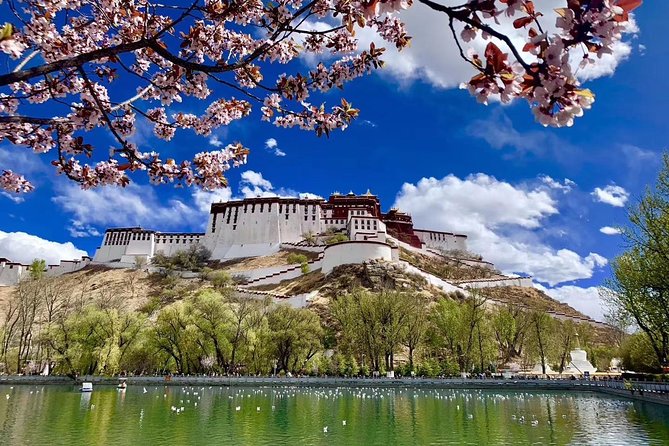 6 Days Central Tibet Culture Small Group Tour - Health Considerations