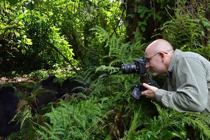 6 Days Chimps, Gorillas & Murchison Falls Africas Big Five Experience Safari - Spotting Africas Big Five
