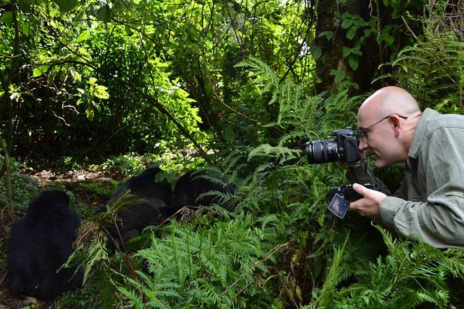 6 Days Chimps, Gorillas & Murchison Falls Africas Big Five Experience Safari - How to Book