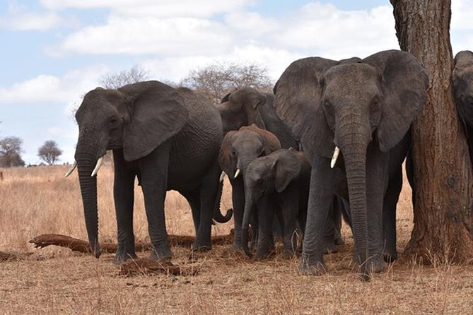 6 Days: Classic Camping( Tarangire, Manyara, Serengeti And Ngorongoro). - Campsite Amenities and Accommodations