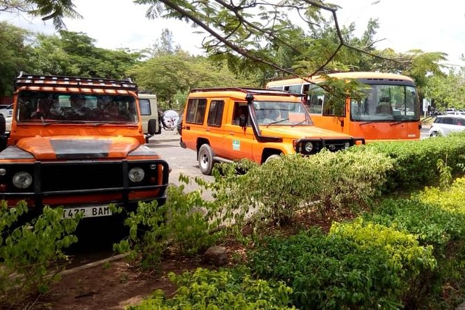 6 Days Climb Kilimanjaro Through Marangu Route - Inclusions