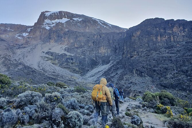 6 Days Climbing Mount Kilimanjaro Machame Route - Camping and Accommodation
