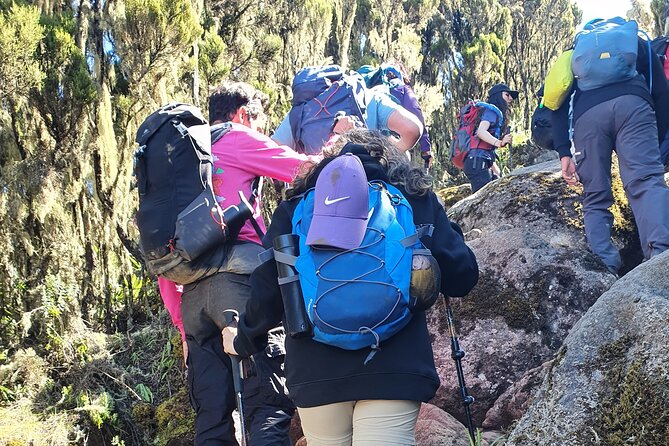 6 Days Climbing Mount Kilimanjaro Machame Route - Gear and Equipment