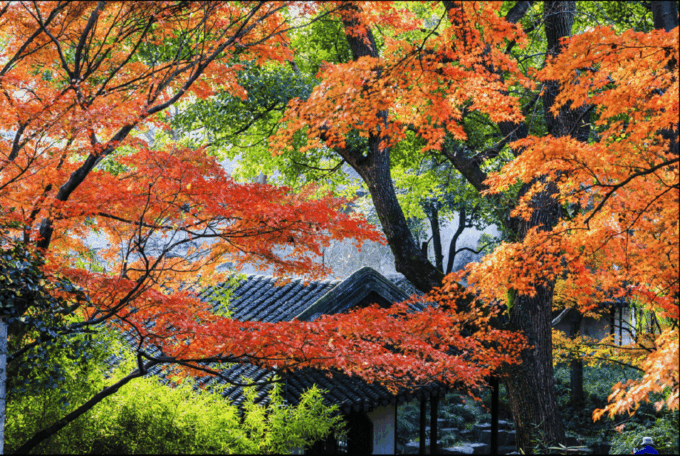 6 Days: Discover South of Yangtze & The Majestic Huangshan - Frequently Asked Questions