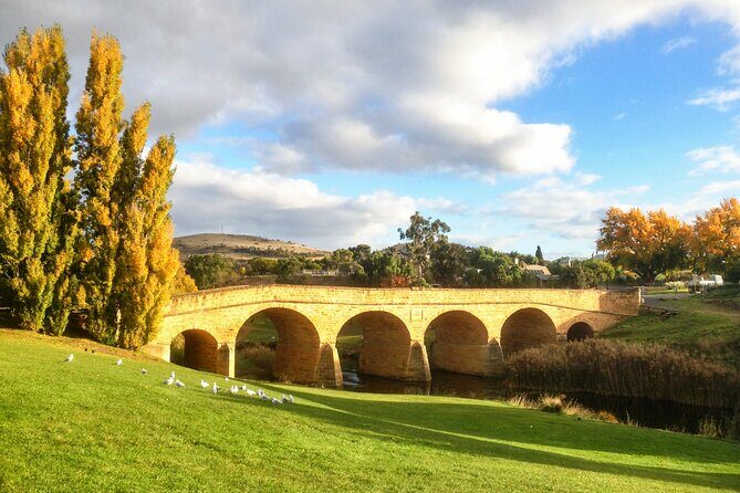 6-Days Discovery Tour of Tasmania - Comfort Style - Final Thoughts