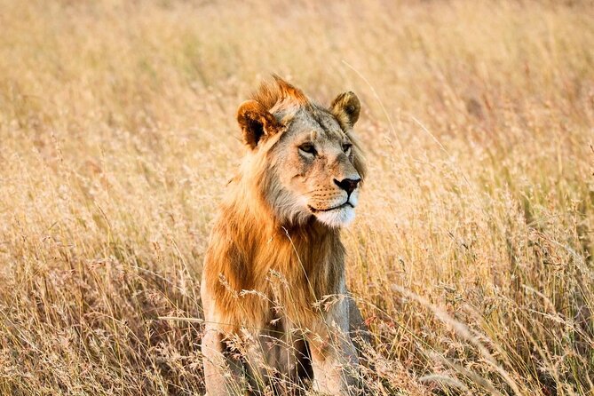 6 Days Enchanting Tanzania Safaris - Mid Range Safari - Cancellation Policy
